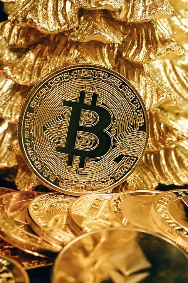 Bitcoin (BTC)